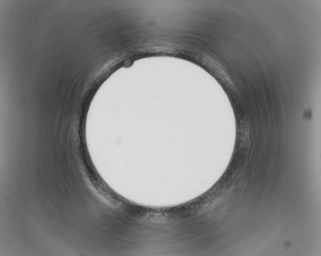 X0000116760538201001281614