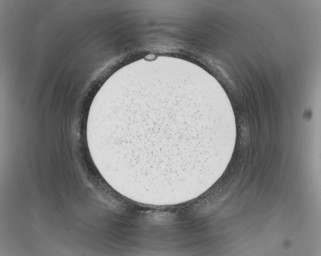 X0000116760539201001281614