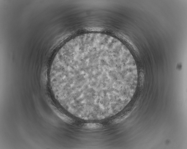 X0000116760541201001281614