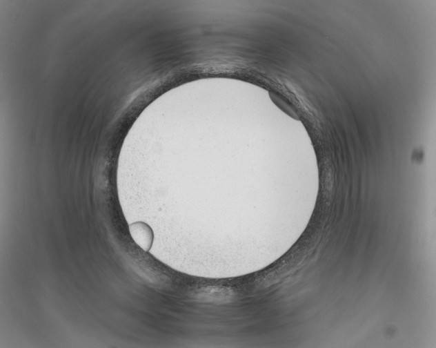 X0000116760543201001281614