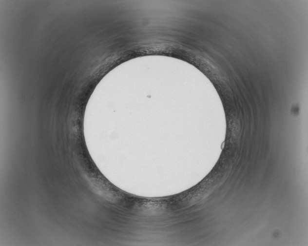 X0000116760546201001281614