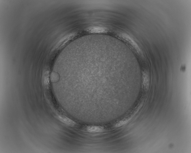 X0000116760549201001281614