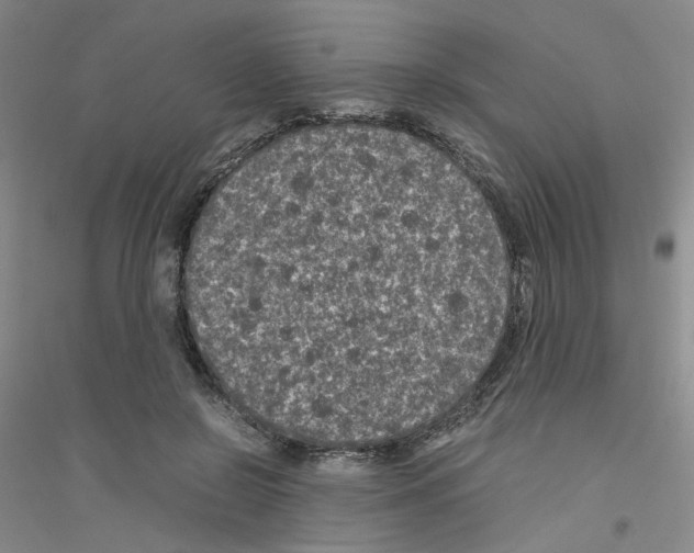 X0000116760550201001281614