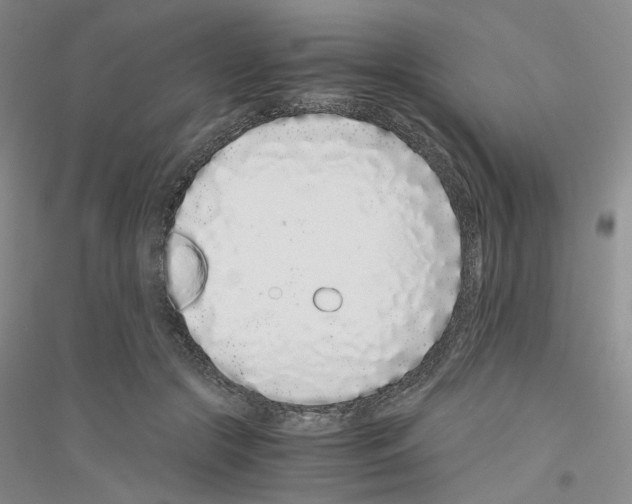 X0000116760553201001281614