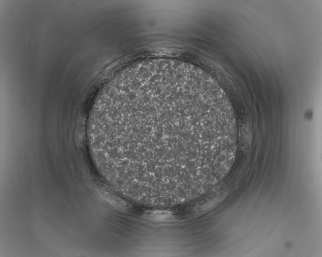 X0000116760554201001281614