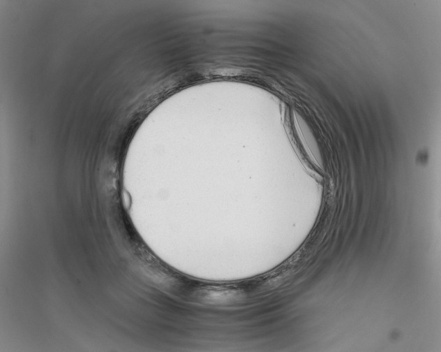 X0000116760555201001281614