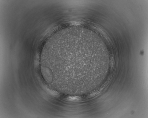 X0000116760557201001281614