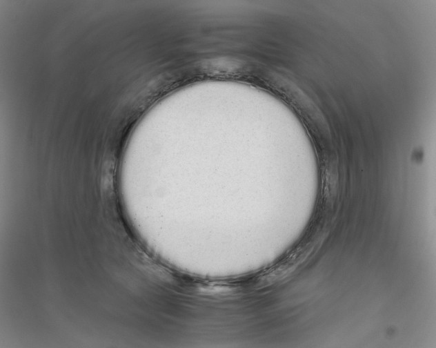 X0000116760561201001281614