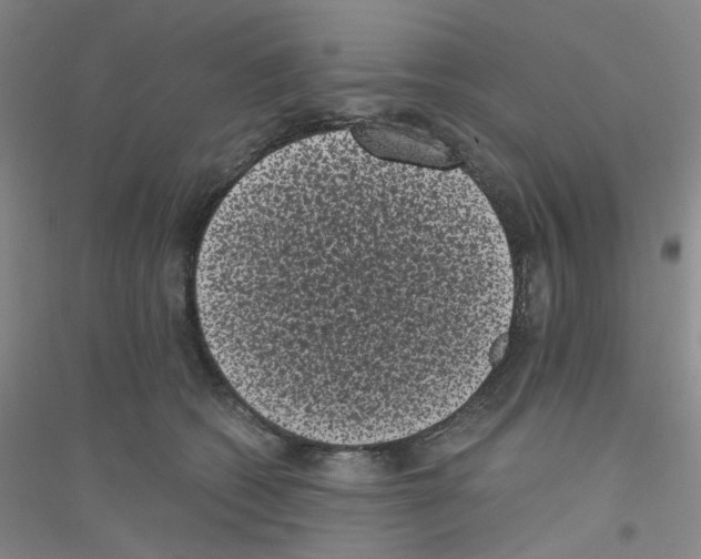 X0000116760562201001281614