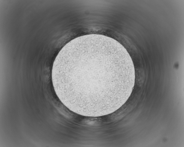 X0000116760563201001281614