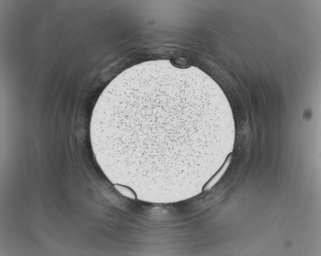 X0000116760566201001281614