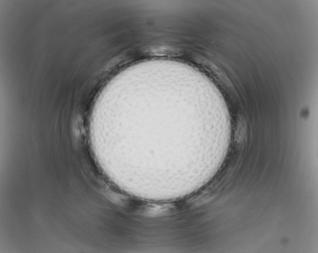 X0000116760569201001281614