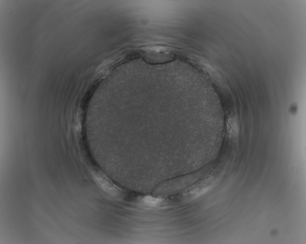 X0000116760570201001281614