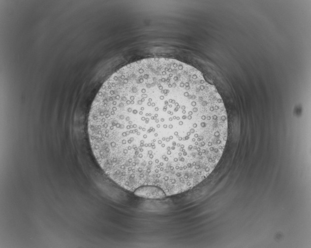 X0000116760571201001281614