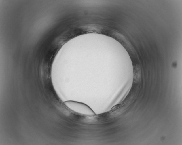 X0000116760573201001281614