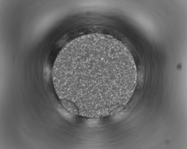 X0000116760574201001281614