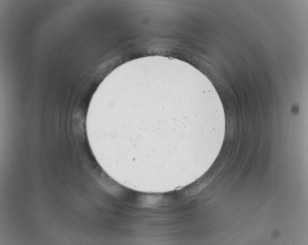 X0000116760575201001281614