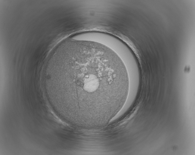 X0000116760577201001281614