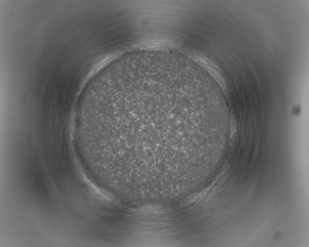 X0000116760578201001281614