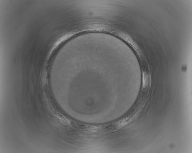 X0000116760579201001281614