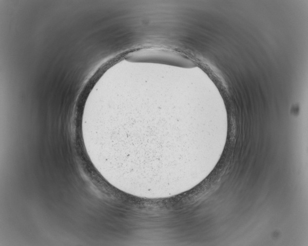 X0000116760580201001281614