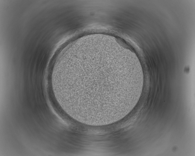 X0000116760582201001281614