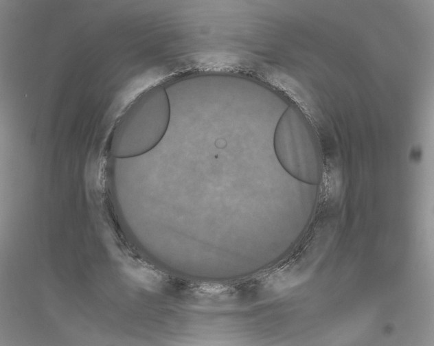 X0000116760583201001281614