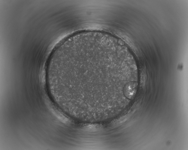 X0000116760584201001281613