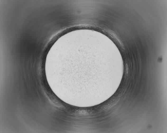 X0000116760588201001281613