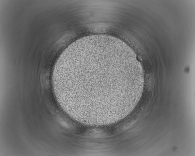 X0000116760589201001281613