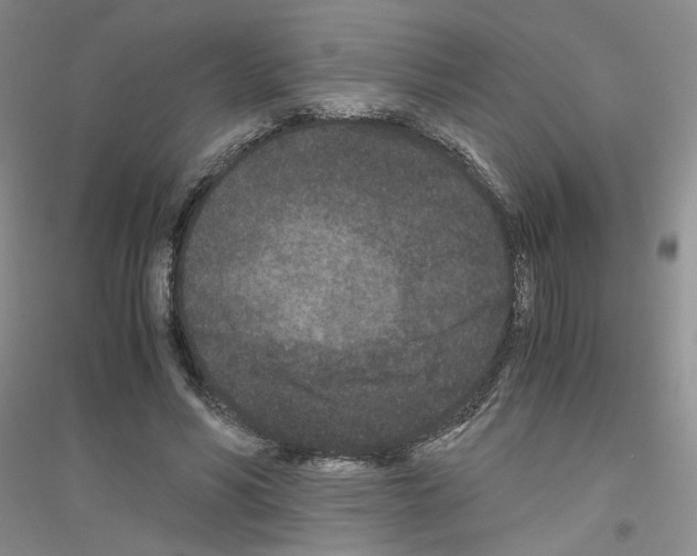 X0000116760590201001281613