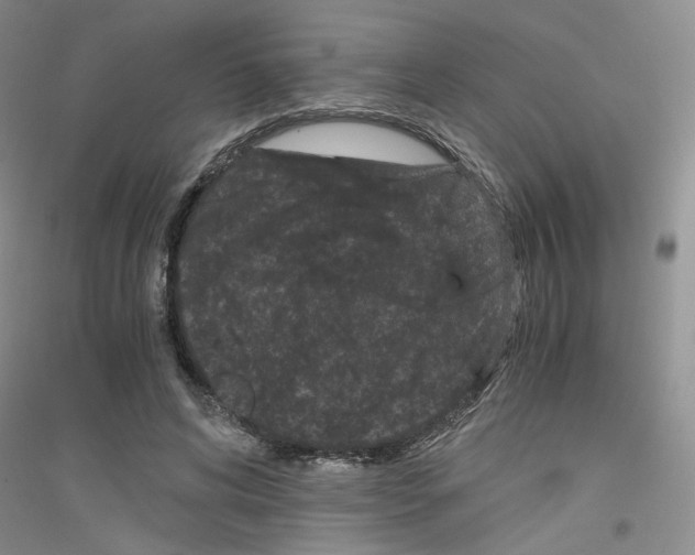 X0000116760592201001281613