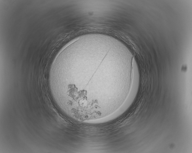 X0000116760593201001281613