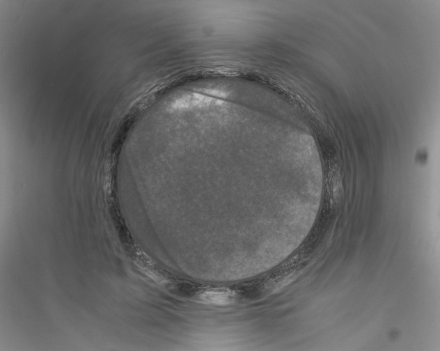 X0000116760595201001281613