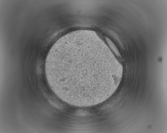 X0000116760596201001281613