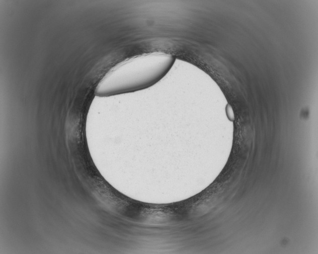 X0000116760597201001281613