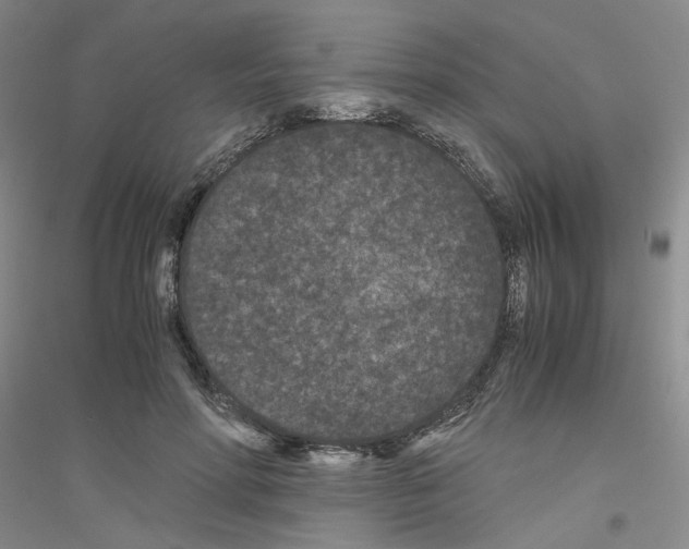 X0000116760598201001281613