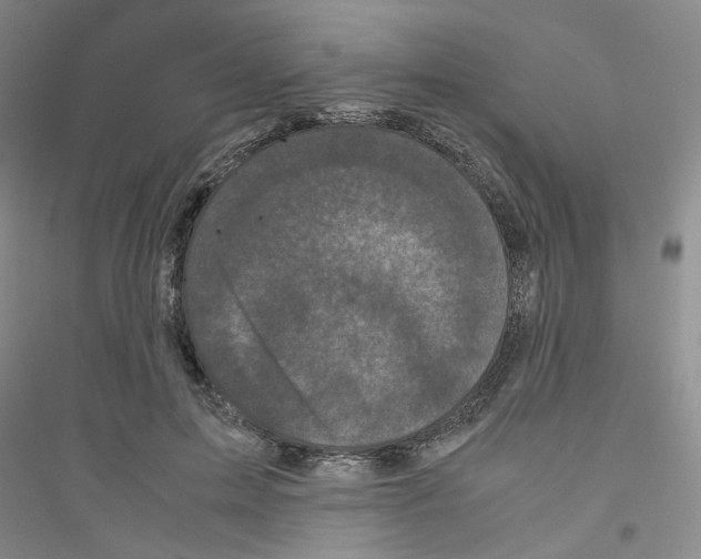 X0000116760599201001281613