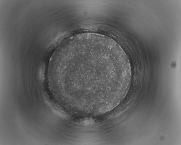 X0000116760600201001281613