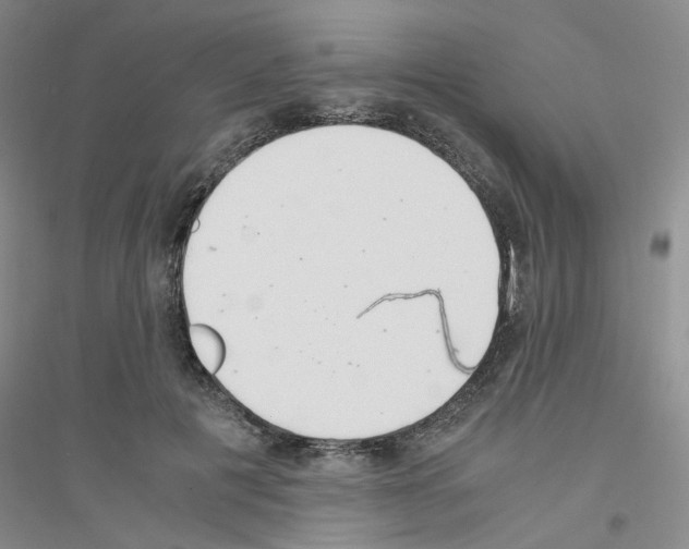 X0000116760601201001281613