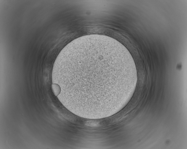 X0000116760602201001281613