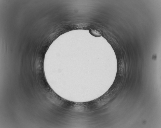 X0000116760608201001281613