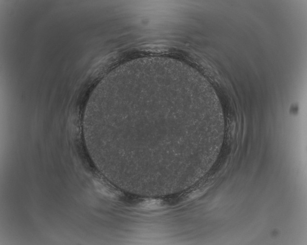 X0000116760609201001281613