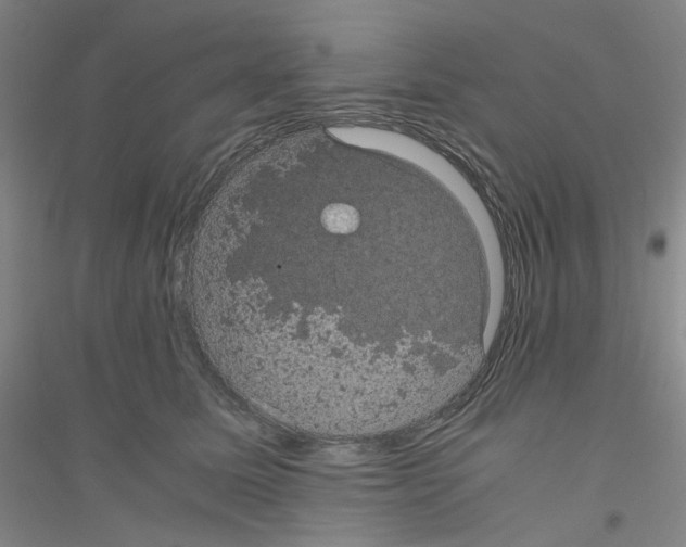 X0000116760611201001281613