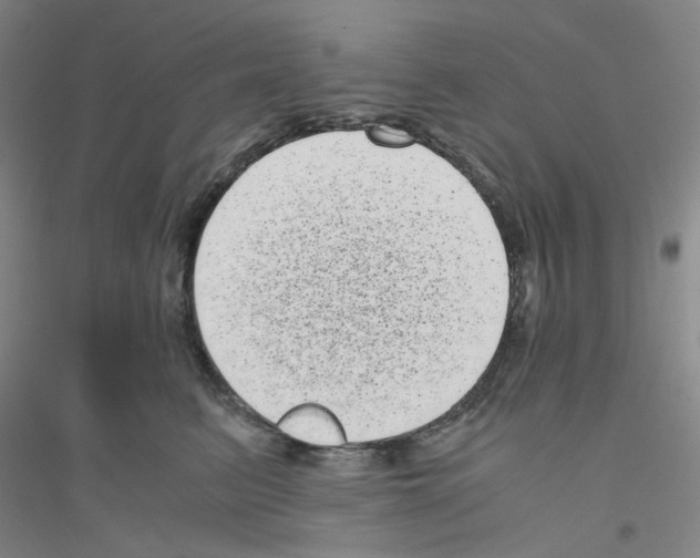 X0000116760615201001281613