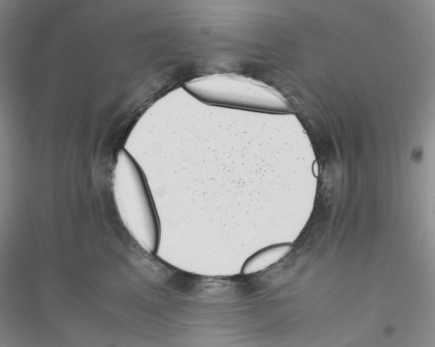 X0000116760617201001281613