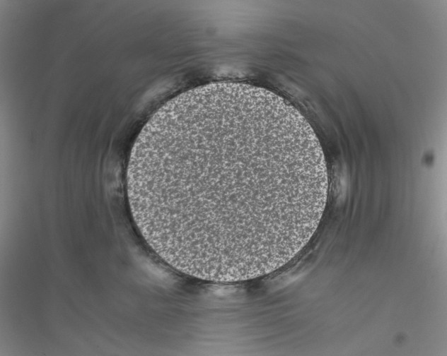 X0000116760619201001281613