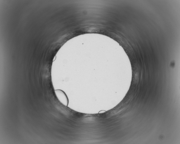 X0000116760620201001281613