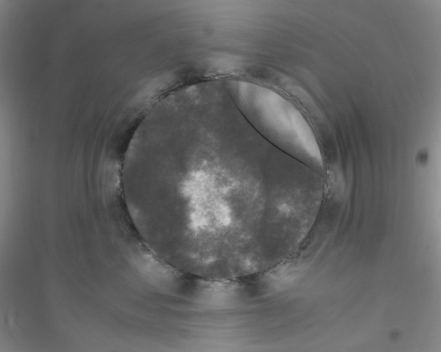 X0000116760621201001281613