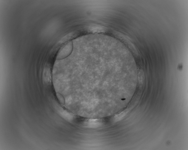 X0000116760622201001281613